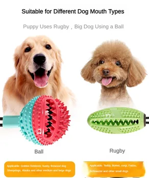 Игрушка с мячом для домашних собак Силиконовая присоска Push Tug Интерактивная игрушка с мячом для собак Чистка зубов Зубная щетка для собак Медленная подача Жевательная игрушка - Изображение 2  