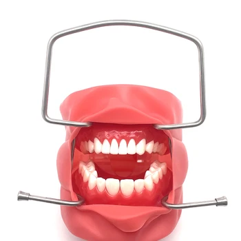 Открывалка для рта из нержавеющей стали, Ретрактор для губ и щек, Стоматологические Ортодонтические инструменты - Изображение 2  